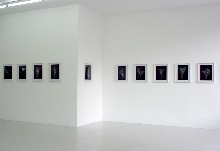 Himmel ohne Wolken, Galerie Leuenroth Frankfurt am Main, 2009, Edgar Leciejewski